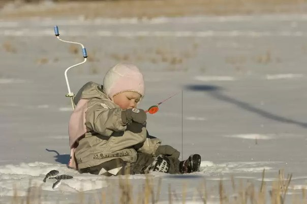 фото-прикол на тему зимняя рыбалка 230